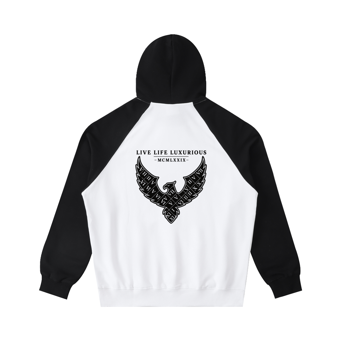 Arymilyanni Color-Block Raglan Sleeve Hoodie | Streetwear Fleece