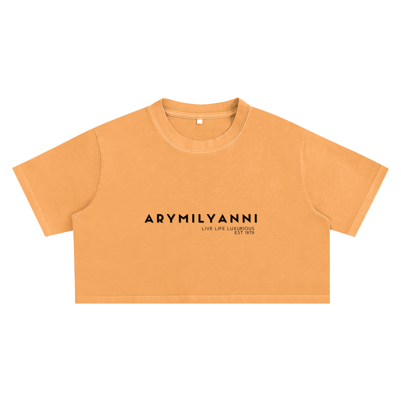 Snow Washed Crop Top – Medium Grey