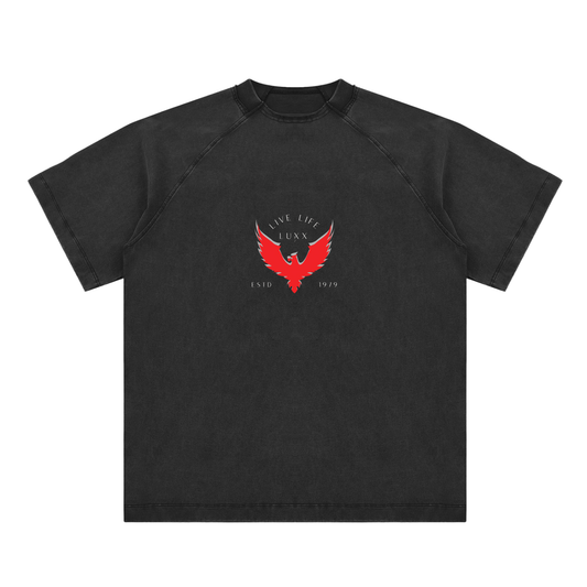 Vintage Washed Raglan Tee – Black