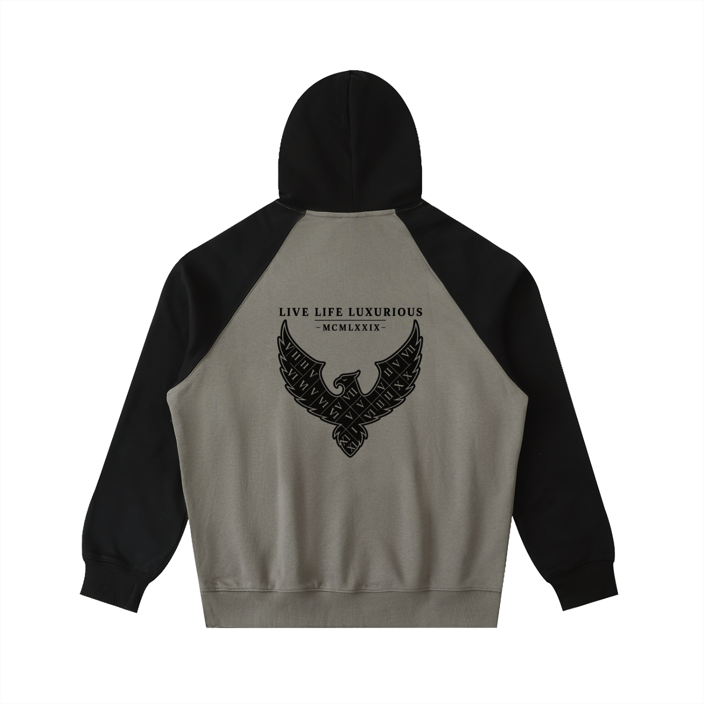 Arymilyanni Color-Block Raglan Sleeve Hoodie | Streetwear Fleece